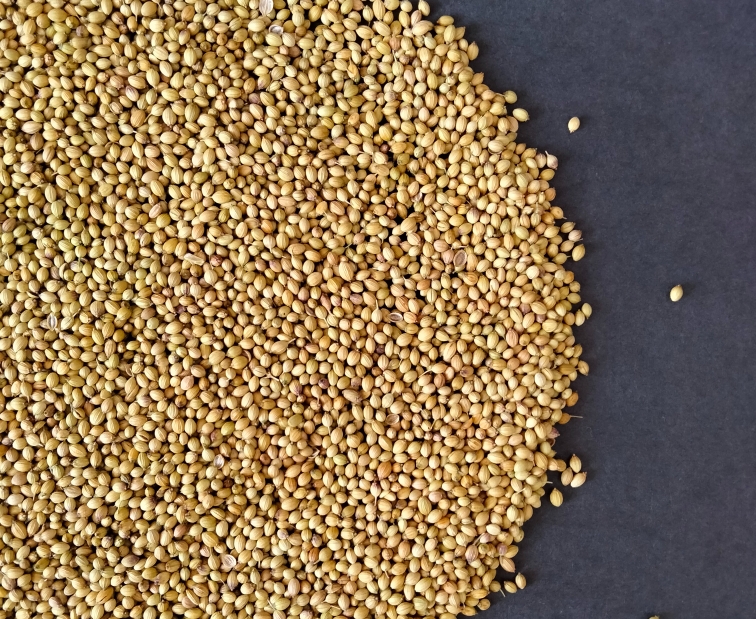 素時(shí)刻：精米精面是生活中隱藏的“殺手”？