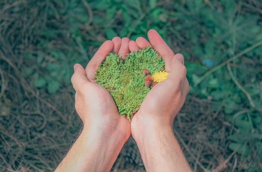 好喝不發(fā)胖的雜糧粥，199種食材精心搭配一口吃下多種營養(yǎng)