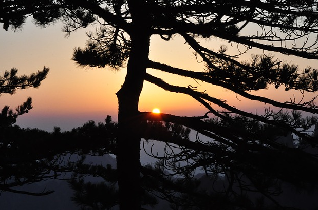 早餐的五谷盛宴：為新的一天充滿電